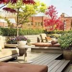 trees-for-terrace-gardens
