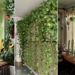 Curtain-Forms-Money-Plant
