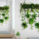 Hanging-Bursts-of-Green