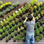 Vertical-Planting