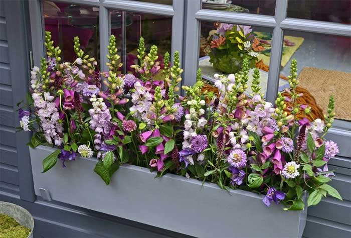 Window Planting