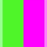 fuchsia-neon-green-pop-color-combination