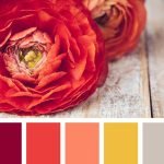 red-yellow-colour-combination-pop
