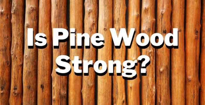 Pine Wood: An Understated Wood With Impressive Potential