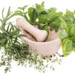 plants-health-benefits