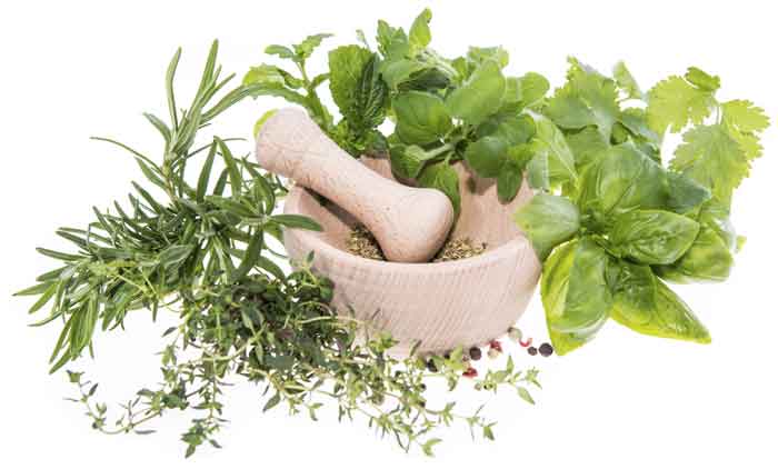 Plant health benefits