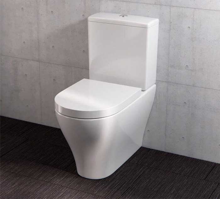 Square and D-Shaped Toilet Seats