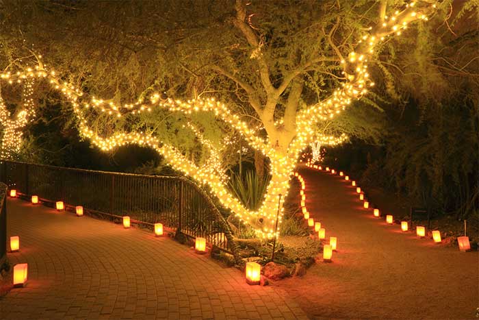 Wrap lights around tree trunks and branches