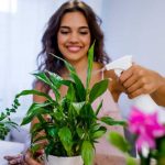 Best Plants To Bring Positivity To Your Home