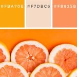 orange-colour-combination