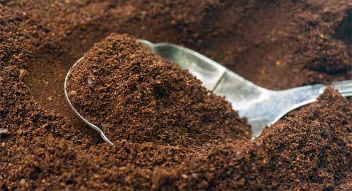 soil quality for plant