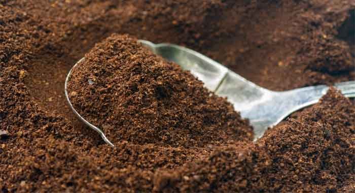 soil quality for plant