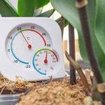 temprature-plants-grow