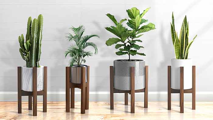A Modern Styled Plant Stand 