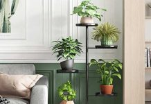 Distinct Indoor Plant Stands To Elevate Your Space