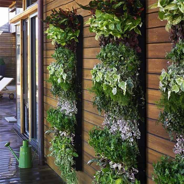 Uniquely Designed Vertical Garden