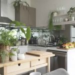 Delicate-Plant-for-kitchen
