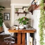 office-plant-decoration-ideas