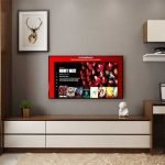 small-1bhk-flat-interior