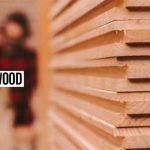bwp-plywood-india