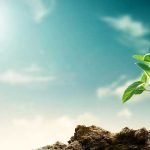 plants-climate-change