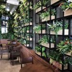 plants-in-the-decor-of-your-outdoor-restaurant