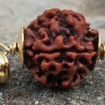 5-mukhi-rudraksha