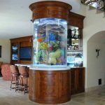 Curved front Fish tank