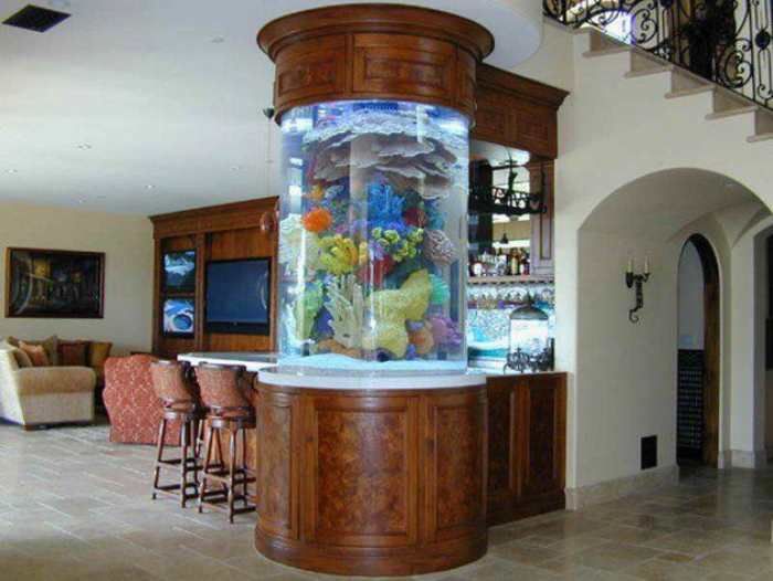 Curved front Fish tank