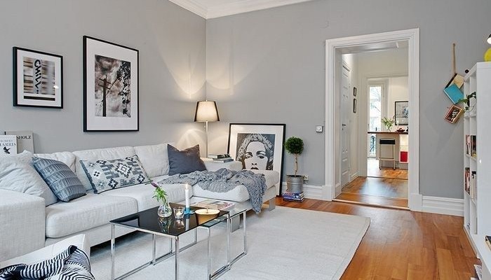 Grey wall color design living room