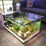 Modern Fish tank ideas