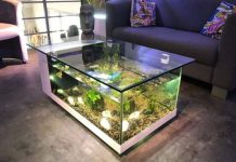 Modern Fish tank ideas