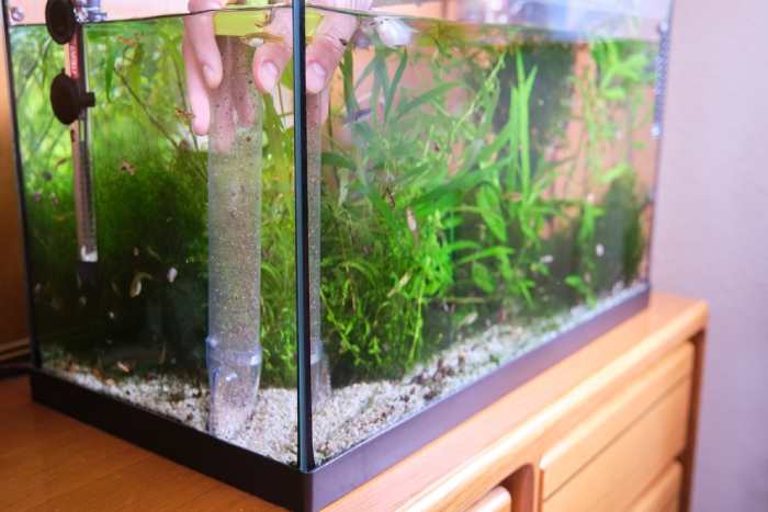 Molded Fish Tank