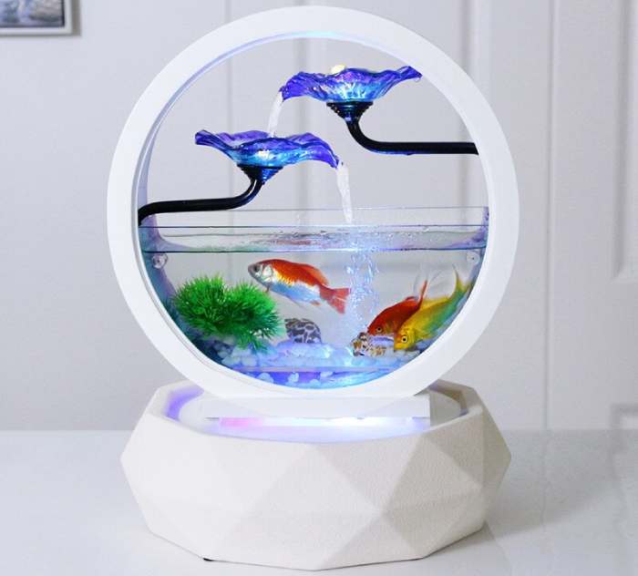 Round and hollow Fish tank