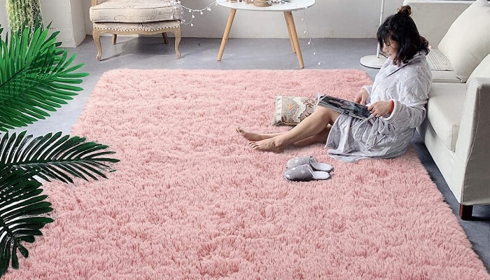 Soft Rugs for Bedroom