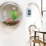 Wall-mounted Fish tank