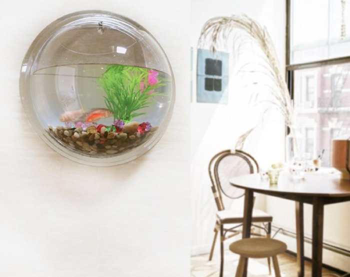 Wall-mounted Fish tank