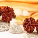 gauri-shankar-rudraksha