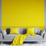 grey-with-yellow-colour-combination