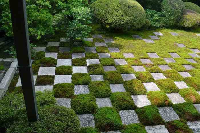japanese Moss Garden