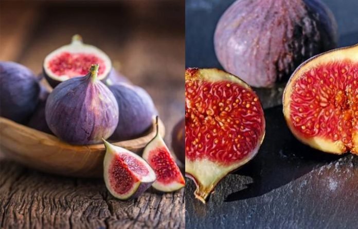 Discover The Art Of Growing Anjeer Plant