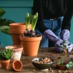 Adding Greenery in basement