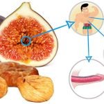 HEALTH BENEFITS