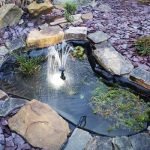 Small-Stone-Pond