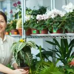 zebra plant-care