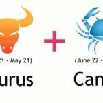 zodiac sign