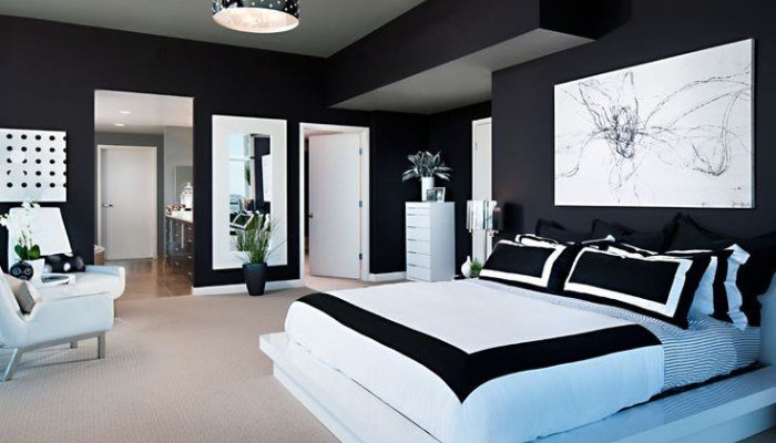 Black and white Bedroom