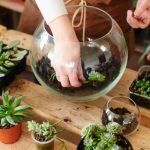 Diy-air-Terrariums