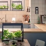Plant-Decoration-Kitchen