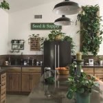 Plant-wall-Decor design